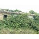 Properties for Sale_La Casetta in Campagna in Le Marche_2